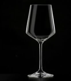 Masterpro Witte Wijnglazen 390ml - Onbreekbaar-Kristalhelder Glas - 2 Stuks -Beste Bestek Winkel 1059x1200