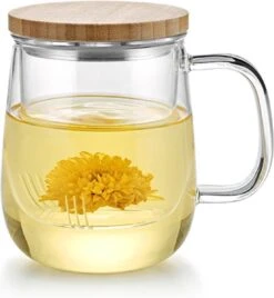 Glazen Theekop 500 Ml Sama Doyo