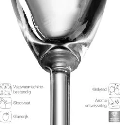 Leonardo Daily Champagneglas - 180 Ml - 6 Stuks -Beste Bestek Winkel 1144x1200