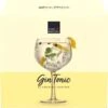 Royal Leerdam - Gin-tonic Glazen - 65cl - 4 Stuks -Beste Bestek Winkel 1200x1176 1
