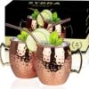 Sybra Moscow Mule Bekers - Cocktail Glazen - Set Van 2 Met RVS Rietjes -Beste Bestek Winkel 1200x1178