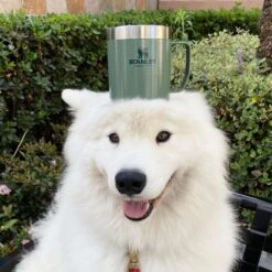 Stanley The Legendary Camp Mug 0,35L - Beker - Hammertone Green -Beste Bestek Winkel 1200x1199 4