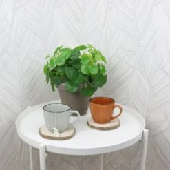 OTIX Koffiekopjes - Met Oor - Set Van 4 - Verschillende Kleuren - Aardewerk - 250 Ml -Beste Bestek Winkel 1200x1200 1055