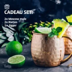 Gadgy Moscow Mule Bekers Set - 100% Koper - Cocktailset : 2 Cocktailglazen, 2 Rietjes & 1 Barmaatje -Beste Bestek Winkel 1200x1200 476