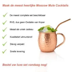 Luxe Moscow Mule Beker Set – Cocktail Set - Inclusief 2 Heerlijke Mule Recepten - Luxe Cadeau Man Vrouw - 500ml – Qwality -Beste Bestek Winkel 1200x1200 485