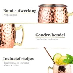 Sybra Moscow Mule Bekers - Cocktail Glazen - Set Van 2 Met RVS Rietjes -Beste Bestek Winkel 1200x1200 490