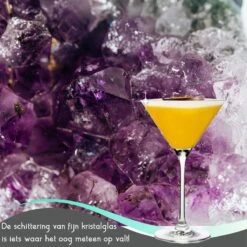 TEN Kristallen Espresso Martini Glazen 6 Stuks - Espresso Glazen 240ml + 40 Cocktail Recepten -Beste Bestek Winkel 1200x1200 507