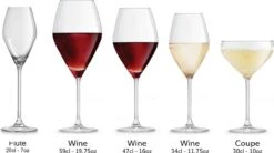 Libbey Champagneglas Iduna – 200 Ml / 20 Cl - Set Van 6 - Elegant Design - Hoge Kwaliteit - Vaatwasserbestendig -Beste Bestek Winkel 1200x671