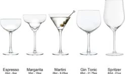 Libbey Martiniglazen Joya - 260 Ml / 26 Cl - 6 Stuks - Vaatwasserbestendig - Hoge Kwaliteit - Elegant Design - Perfect Voor Een Cocktailfeest Aan Huis -Beste Bestek Winkel 1200x708