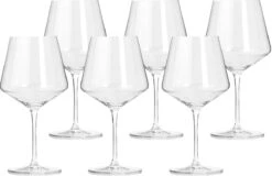 Leonardo Bourgogne Rode Wijnglas Puccini Set Van 6 -Beste Bestek Winkel 1200x779 1
