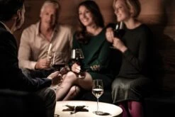 Schott Zwiesel Pure Cabernet Wijnglas - 0,54 L - 6 Stuks 15 Schott Zwiesel Pure Cabernet Wijnglas - 0,54 L - 6 Stuks -Beste Bestek Winkel 1200x800 70