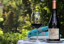 Schott Zwiesel Diva Bourgogne Wijnglas - 0,46 L - 6 Stuks -Beste Bestek Winkel 1200x837 1