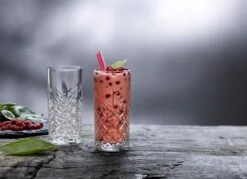 Pasabahce Timeless Longdrink - 45 Cl - 6 Stuks - Transparant -Beste Bestek Winkel 1200x871