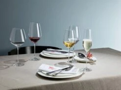 Schott Zwiesel Fortissimo Bourgogne Wijnglazen - 0.727 L - 6 Stuks -Beste Bestek Winkel 1200x898 6