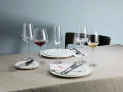 Schott Zwiesel Fortissimo Water / Rode Wijnglas - 0.51 Ltr - 6 Stuks 16 Schott Zwiesel Fortissimo Water / Rode Wijnglas - 0.51 Ltr - 6 Stuks -Beste Bestek Winkel 1200x899 15