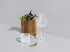Iittala Essence - Wijnglazen Witte Wijn – Vaatwasserbestendig - Transparant - 33 Cl – Set Van 2 Glazen -Beste Bestek Winkel 1200x899 25