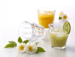 Duralex Picardie Waterglas - 220ml - Gehard Glas - 6 Stuks 36 Duralex Picardie Waterglas - 220ml - Gehard Glas - 6 Stuks -Beste Bestek Winkel 1200x910 3