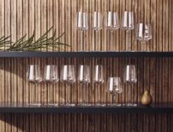 Iittala Essence - Wijnglazen Rode Wijn – Vaatwasserbestendig - Transparant - 45 Cl – Set Van 2 Glazen -Beste Bestek Winkel 1200x920 2