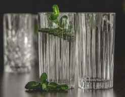 Jay Hill Glazenset (cocktailglazen & Longdrinkglazen) Moville - 12-Delig 10 Jay Hill Glazenset (cocktailglazen & Longdrinkglazen) Moville - 12-Delig -Beste Bestek Winkel 1200x930 5