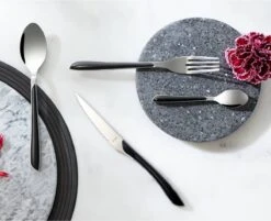 Amefa Eclat Zwart - 16 Delige Set - 4 Persoons - Zwart Gekleurd Bestek -Beste Bestek Winkel 1200x975