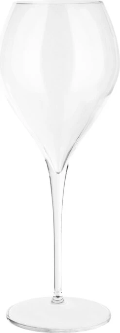 Lehmann Jamesse Champagneglazen 41cl -Beste Bestek Winkel 432x1200 1