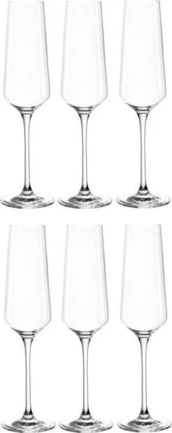 Leonardo Puccini Champagneglas - 280 Ml - 6 Stuks -Beste Bestek Winkel 477x1200