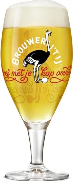 Brouwerij 't IJ Speciaal Bierglazen - 30cl - 6 Stuks