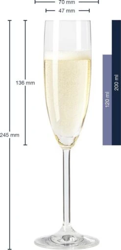 Leonardo Daily Champagneglas - 180 Ml - 6 Stuks -Beste Bestek Winkel 581x1200