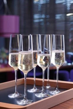 Leonardo Puccini Champagneglas - 280 Ml - 6 Stuks -Beste Bestek Winkel 800x1200 14