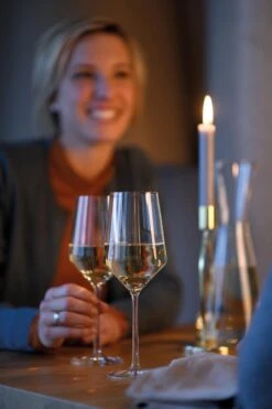 Schott Zwiesel Pure Riesling Wijnglas - 300 Ml - 6 Stuks -Beste Bestek Winkel 800x1200 26