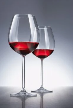 Schott Zwiesel Diva Bourgogne Wijnglas - 0,46 L - 6 Stuks -Beste Bestek Winkel 810x1200 2