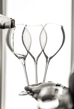 Lehmann Jamesse Champagneglazen 41cl -Beste Bestek Winkel 816x1200