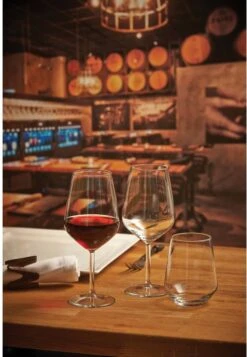 Pasabahce Allegra 49 Cl Wijnglas Doos 6 Stuks -Beste Bestek Winkel 830x1200