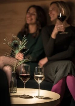 Schott Zwiesel Pure Riesling Wijnglas - 300 Ml - 6 Stuks -Beste Bestek Winkel 850x1200 2