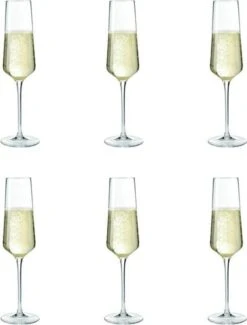 Leonardo Puccini Champagneglas - 280 Ml - 6 Stuks -Beste Bestek Winkel 912x1200 6