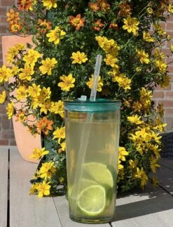 Drinkglas Met Rietje En Deksel – 550ml – 3 Stuks -Beste Bestek Winkel 917x1200