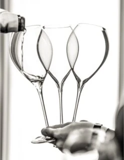 Lehmann Jamesse Champagneglazen 28.5cl -Beste Bestek Winkel 925x1200 1